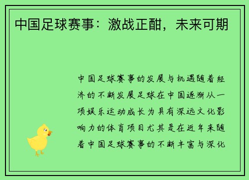 中国足球赛事：激战正酣，未来可期